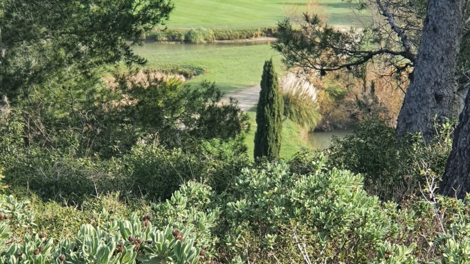 Golf Pocket - Coupe de la directrice - 17/18 octobre